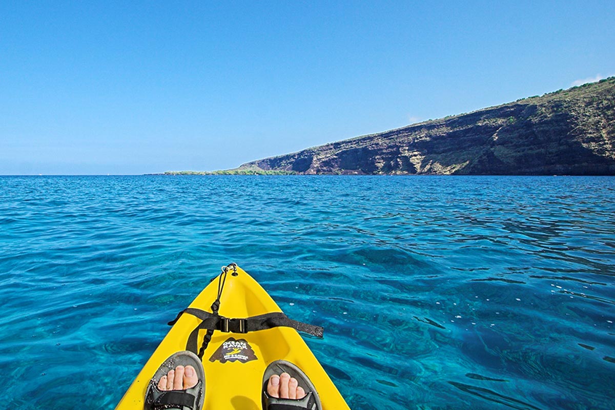 Maui Ocean Sports Lahaina Excursion The Snorkel Store