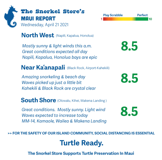 Maui Snorkel Report The Snorkel Store