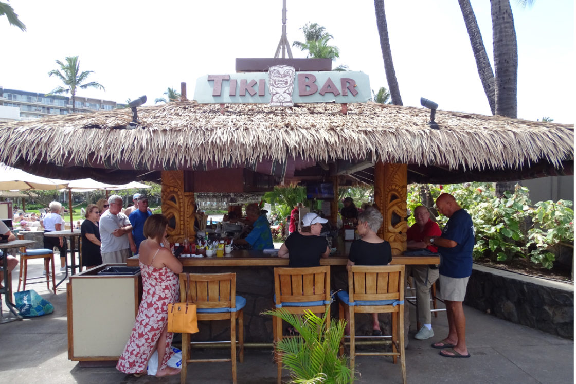 Things To Do In Maui Your Free Guide The Snorkel Store