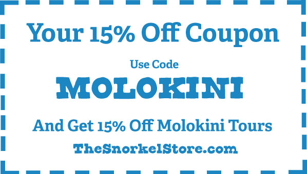 Fairway in store coupon