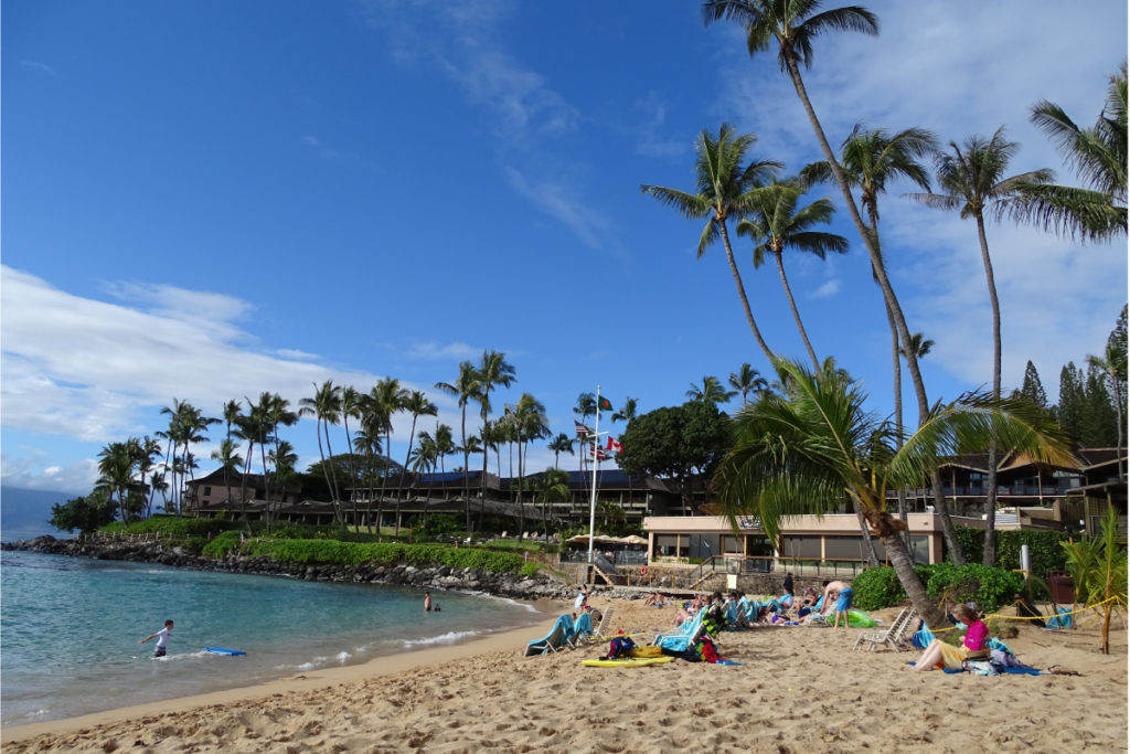 thesnorkelstorenapilibay23 The Snorkel Store