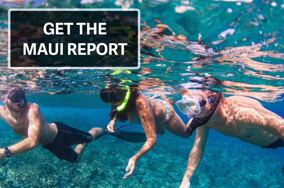 The Snorkel Store Maui Snorkeling Rentals & Tours